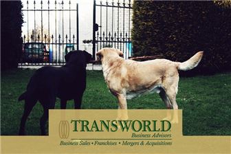 Profitable Dog Training Business For Sale