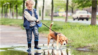 Highly Profitable Niche Pet Care Business in Charleston for Sale