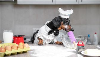 Dog Bakery & Boutique w/ $150K Inv +FF&E and $225K in TI Invested