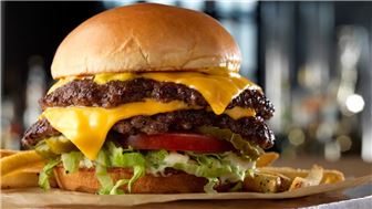 Burgers and Wings in Little to No Competition Area!