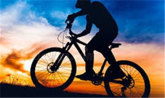 Independent S. California Bike Shop with Loyal Customer Base