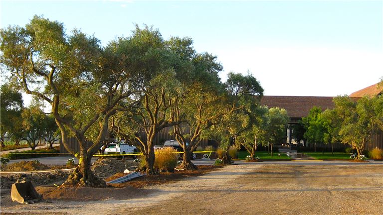 Sell &amp;amp; Move the Trees!