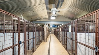 Turnkey Dog Daycare & Boarding, #1 Best in Flagstaff, AZ!