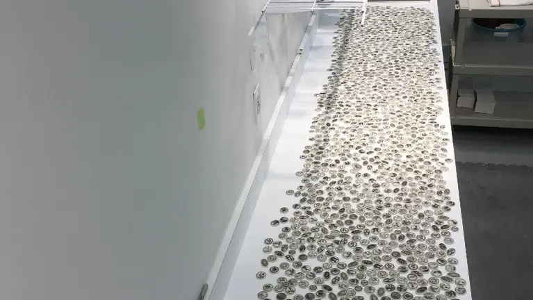 One week's Production