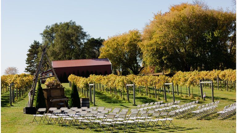 Vineyard Ceremony Area