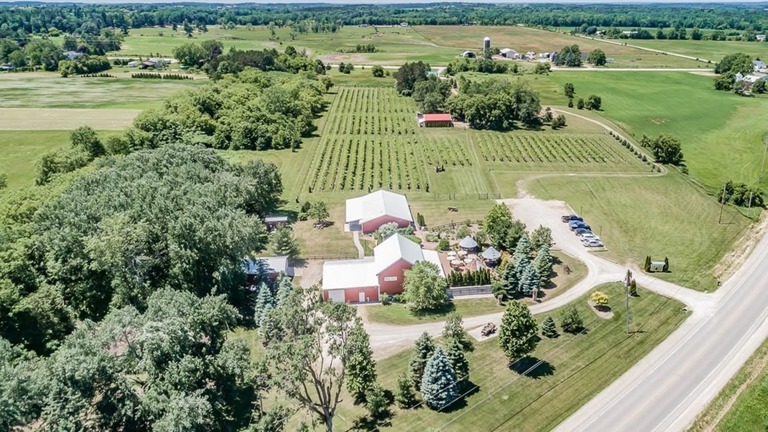 Aerial View of Property