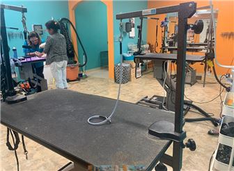 Pet Grooming Salon Since 2016