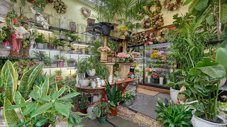 Typical interior display