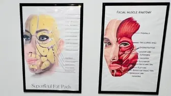 Medical Aesthetics Studio in Prime Plano Location