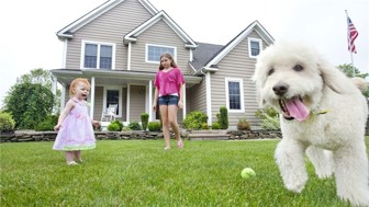 Lucrative, Top-Performing Pest Control Business!