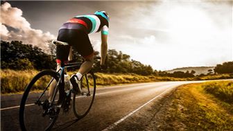 Bicycle Sales & Maintenance Business for Sale in Weston area.Location!