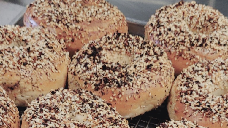 House Made Bagels