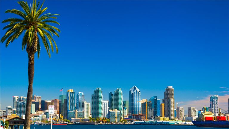 Chiropractic Practice for Sale in San Diego, CA