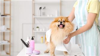 PET GROOMING STORE