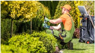 Successful Sprinkler & Landscaping, Snow Removal Business