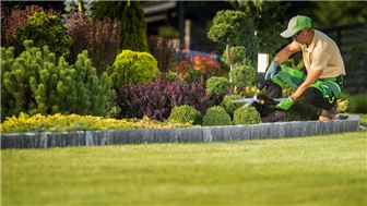High-End Maintenance Landscaping Business