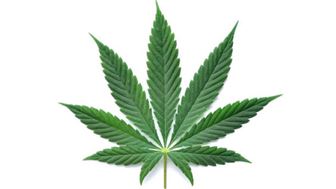 Established and Profitable Hemp Retail Business