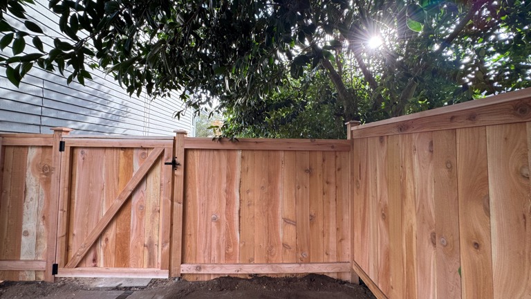 Cedar Fence