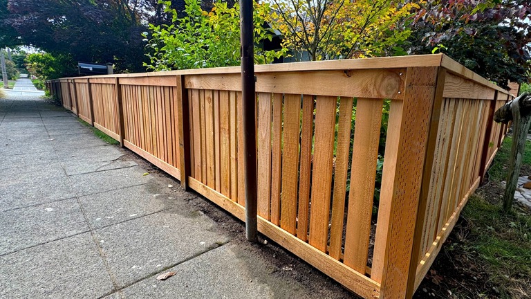 Cedar fence