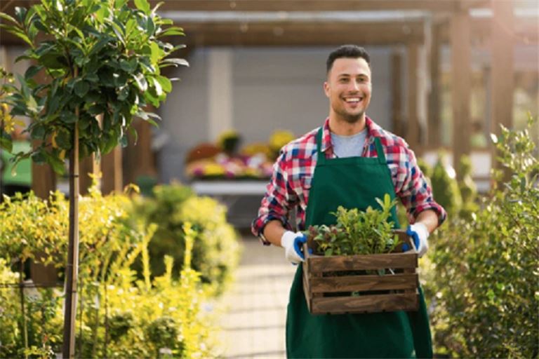 Landscape, Nursery, Snow Removal