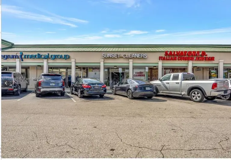 Busy Shopping Center Busy Shopping Center