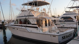 listing-image