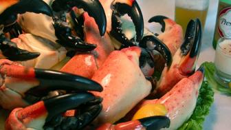 Wild Caught Seafood Market/Retail ,Wholesale, Martin County Fla.