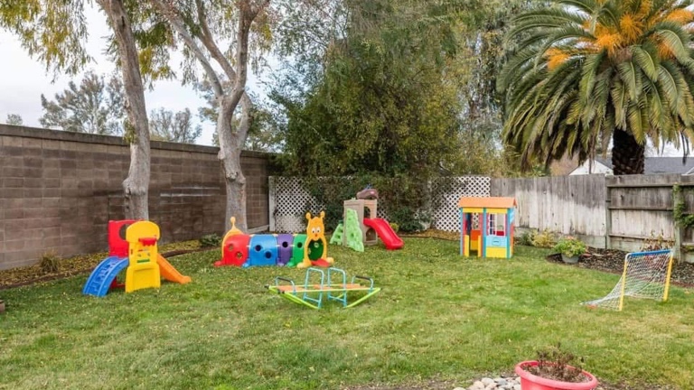 Backyard