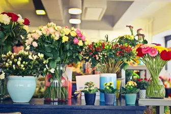 Blooming Beauty Where Every petal Tells a Story