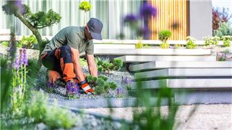 Thriving Landscaping and Lawn Care Business in Charleston County