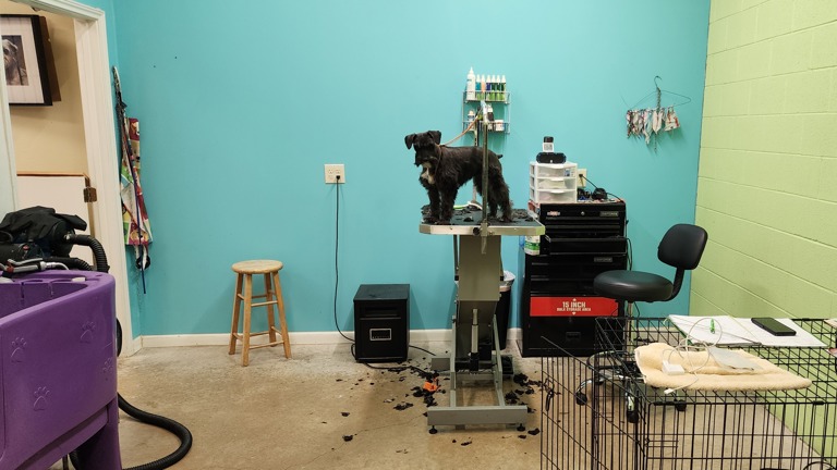 Interior pet station 
