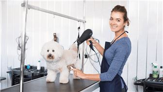 Profitable Holistic Pet Grooming