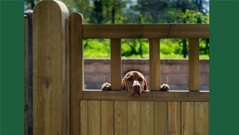 All Types of Fence All Types of Fence