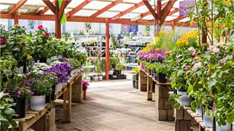 Well Established Flower and Garden Centre with Property
