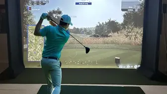 Established Golf Simulator Screen/Enclosure Manufacturer Business