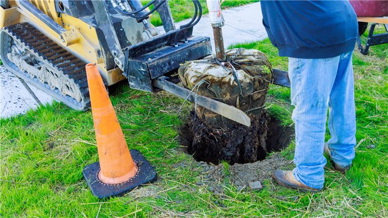 LANDSCAPING LANDSCAPING