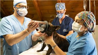 42 Yr old Animal Hospital near Cerritos - Norwalk area