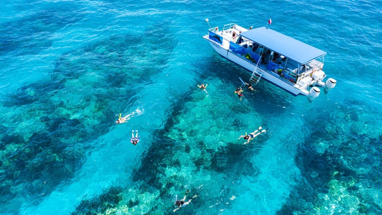 Snorkel Trips