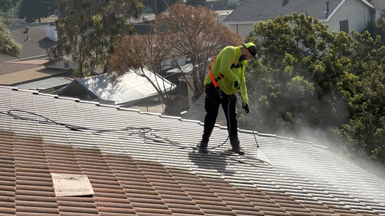Roof Cleaning