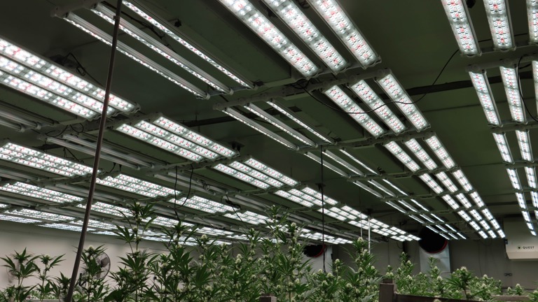 Fohse LED lights