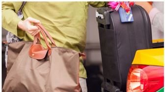 Niche Airline Luggage Delivery Service