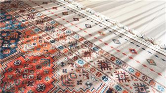 Carpet and Rug Cleaning Business - 11062