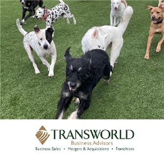 Unique Dog Care Establishment