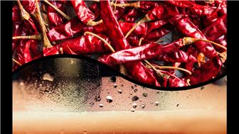 Mexican Restaurant - $2,000,000 Annual Revenue - Seller Financing!