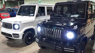 Electric Vehicles Golf Cart Cars Low Speed Vehicle Coco Boxer Business