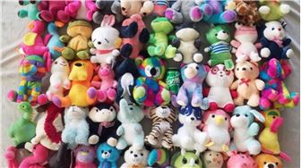 CASH COW Carnival & Claw Game Plush Prize Wholesale