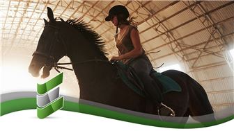 Retailer of High-End Equestrian Saddles and Accessories
