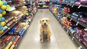 National Franchise Re-Sale - Pet Food & Supplies