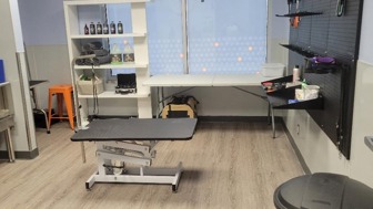 Turn Key Brand New Dog Daycare/Boarding