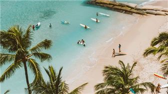 Gulf Coast Beach Grooming and Cleaning Business